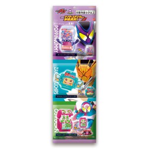Photo1: Kamen Rider Gavv / DX Rider Gochizou Set New Special ver 01 (1)