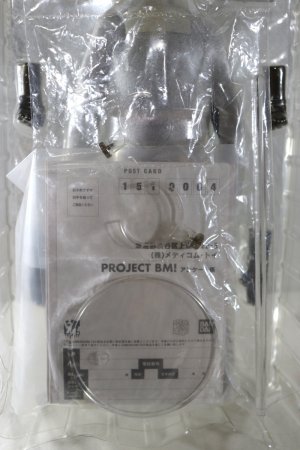 Photo6: Kamen Rider The NEXT / Project BM! Shocker Rider with Package (6)