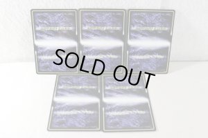 Photo3: Kamen Rider Ryuki / CSM Complete Selection Modification Taiga Card Deck (3)