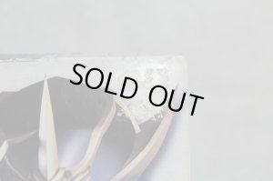 Photo13: Kamen Rider Hibiki / Onteki with Package (13)