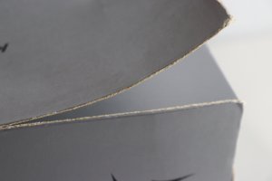 Photo13: Kamen Rider W / Complete Selection Modification CSM Fang Memory with Package (13)