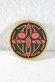 Photo1: Kamen Rider OOO / CSM Amazon Core Medal (1)