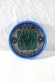 Photo1: Kamen Rider OOO / Ryuga Medal (1)