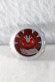 Photo1: Kamen Rider Wizard / Please Wizard Ring (1)