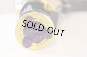 Photo8: Kamen Rider Gaim / Arms Weapon 03 Budou Ryuhou with Package (8)