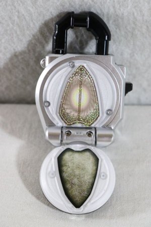 昼の部．ヒメクロツチカメムシ．チャイロクチブトカメムシ．セアカツノカメムシ．アメバチの類．ホソヒラタアブ．ガガンボの類． -  yyzz2；虫撮記【虫画像・他】