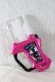 Photo1: Kamen Rider Ex-Aid / DX Barcode Warrior Decade Gashat (1)