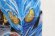 Photo15: Kamen Rider Build / DX Sclash Driver with Package (15)