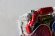 Photo10: (Damaged) Kamen Rider Build / DX Rabbit Tank Sparkling Used (10)