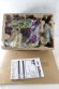 Photo2: Kamen Rider Build / DX Nebula Steam Gun with Package (2)