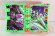 Photo6: Kamen Rider Saber / DX X Swordman Wonder Ride Book with Package (6)