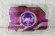 Photo9: Kamen Rider Geats / DX Boost Mark 2 Raise Buckle & Lazer Raise Riser Set Used (9)