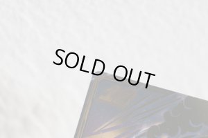 Photo12: Kamen Rider Gotchard / DX Cross Hopper & Tenliner Set with Package (12)