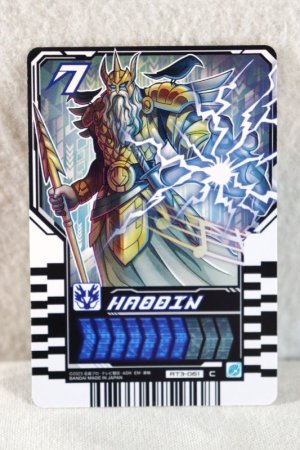 Photo1: Kamen Rider Gotchard / Ride Chemy Trading Card C RT3-061 Haodin (1)