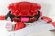 Photo1: Kamen Rider Gavv / DX Henshin Belt Gavv Used (1)