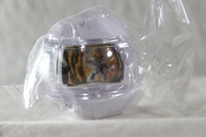 Photo1: Kamen Rider Zeztz / GP Rider Capsem 02 IXA (1)