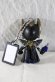Photo2: Kamen Rider Ryuki / Key Chain Knight Survive (2)