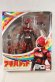 Photo1: S.H.Figuarts / Hikounin Sentai Akibaranger Akiba Red Sealed (1)