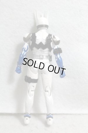 Photo4: S.H.Figuarts Shinkocchou Seihou / Kamen Rider Eternal (4)