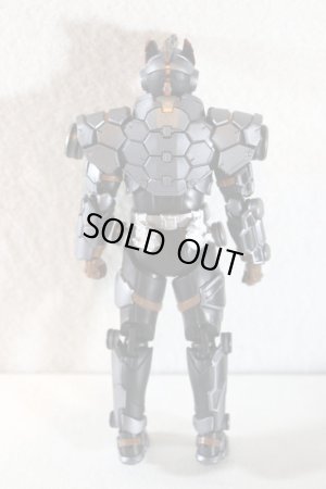 Photo4: S.H.Figuarts  / Kamen Rider Buster Genbu Shinwa (4)