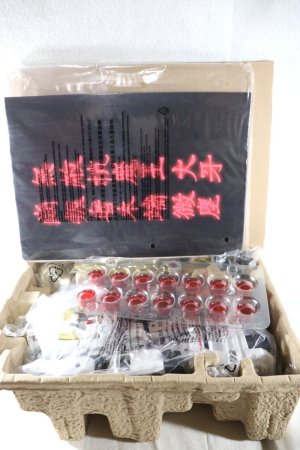 Photo2: Gosei Sentai Dairanger / Super Sentai Artisan DX Won Tiger with Package (2)