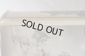 Photo13: Hyakuju Sentai Gaoranger / DX Gao King Black ver with Package (13)