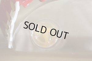 Photo17: Hyakuju Sentai Gaoranger / Power Animal Series 7 Gao Falcon with Package (17)