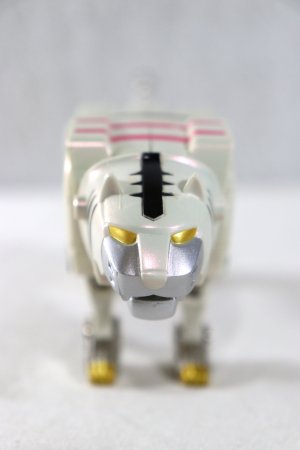 Photo23: Hyakuju Sentai Gaoranger / DX Gao King with Package (23)