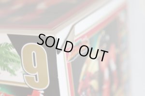 Photo13: Hyakuju Sentai Gaoranger / Power Animal Series 9 Gao Lion with Package (13)