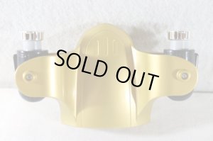 Photo7: Hyakuju Sentai Gaoranger / Power Animal Series 9 Gao Lion with Package (7)