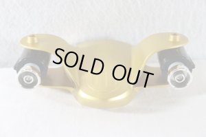 Photo9: Hyakuju Sentai Gaoranger / Power Animal Series 9 Gao Lion with Package (9)