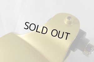 Photo11: (Box Damage & Missing Parts) Hyakuju Sentai Gaoranger / Power Animal Series 9 Gao Lion with Package (11)