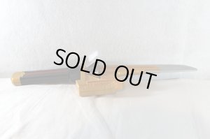 Photo5: Samurai Sentai Shinkenger / Shinkenmaru with Package (5)