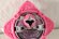 Photo2: Shuriken Sentai NinNinger / Momo Ninger Shuriken Used (2)