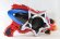 Photo2: Uchu Sentai Kyurange / DX Seiza Blaster Used (2)