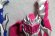 Photo13: Kishiryu Sentai Ryusoulger / Kishiryu Series 02 & 03 Tricane & Ankiroze (13)