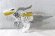 Photo2: Kishiryu Sentai Ryusoulger / Kishiryu Series 08 & 08 Shine Raptor & Shadow Raptor Set Used (2)
