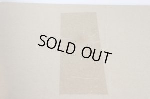 Photo10: Kishiryu Sentai Ryusoulger / Gaisouken with Package (10)