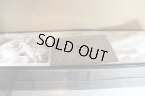 Photo2: Kishiryu Sentai Ryusoulger / Gaisouken Memorial Edition with Package (2)