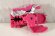 Photo1: Kishiryu Sentai Ryusoulger / Pink Ryusoul (1)