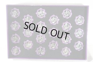 Photo2: Kikai Sentai Zenkaigr / SG Dark Sentai Gear Set with Package (2)