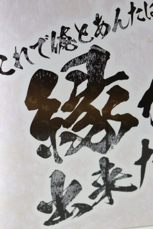 Photo12: (Box Damaged) Avataro Sentai Donbrothers / DonBlaster Memorial with Package (12)