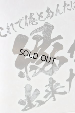 Photo12: (Box Damaged) Avataro Sentai Donbrothers / DonBlaster Memorial with Package (12)