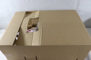 Photo2: No.1 Sentai Gozyuger / DX TegaJune with Package (2)