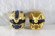 Photo2: No.1 Sentai Gozyuger / DX Sentai Ring GozyuLeon & GozyuTyranno Set with Package (2)