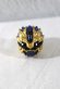 Photo1: No.1 Sentai Gozyuger / DX Sentai Rings GozyuLeon (1)