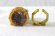 Photo1: No.1 Sentai Gozyuger / Sentai Ring NinNinger (1)