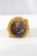Photo1: No.1 Sentai Gozyuger / Sentai Ring Zenkaiger (1)