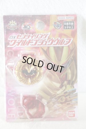 Photo1: No.1 Sentai Gozyuger / DX Sentai Ring Wild Gozyu Wolf (1)