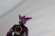 Photo3: Kaizoku Sentai Gokaiger / Kamen Rider OOO PuToTyra Combo Key (3)